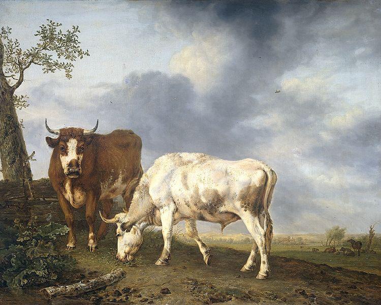 Jan Kobell Oxen in the meadow Spain oil painting art